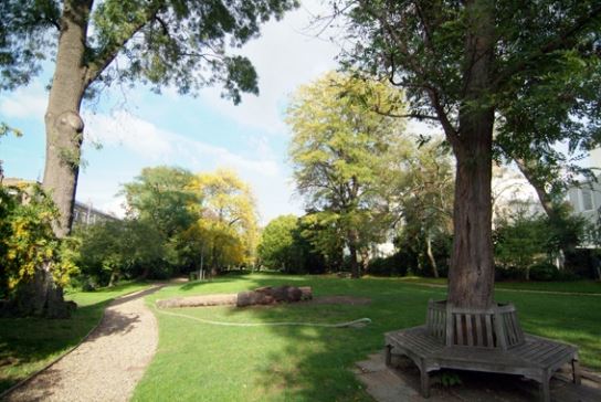 Blenheim & Elgin Communal Gardens (01/05/2019)