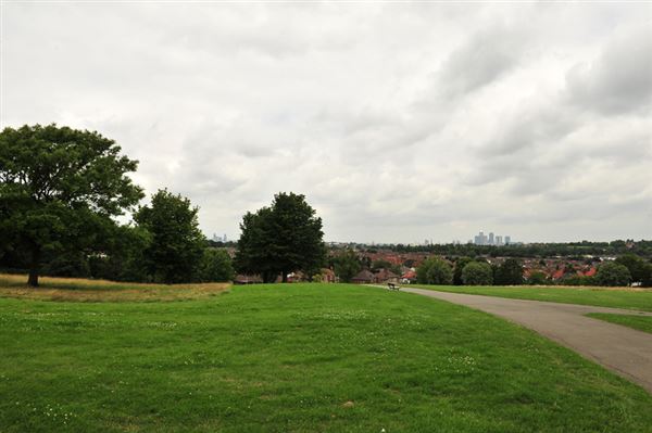 Blythe Hill Fields (01/05/2019)