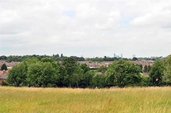 Blythe Hill Fields (01/05/2019)