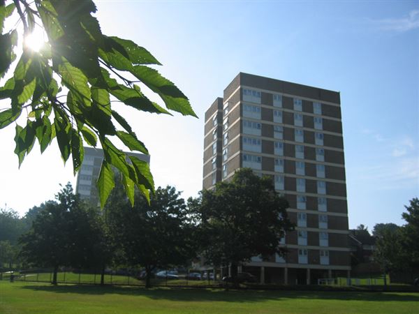 Westow Park (01/05/2019)