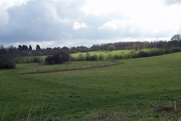 Fryent Country Park (01/05/2019)