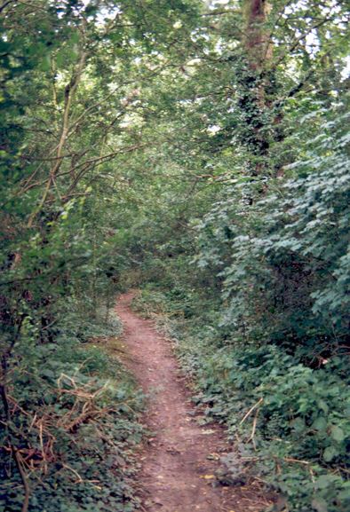 Fryent Country Park (01/05/2019)
