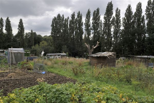 Birchen Grove Allotments (01/05/2019)
