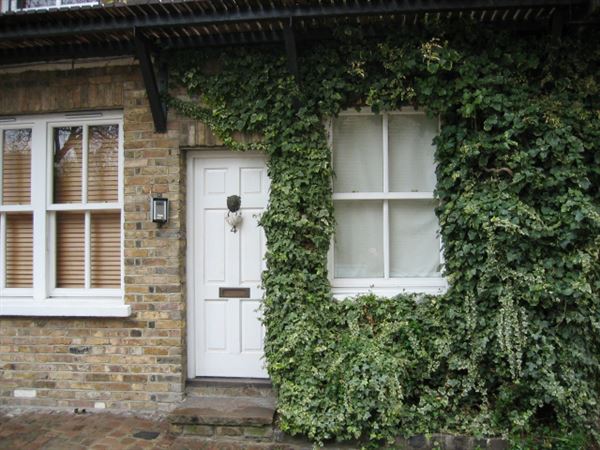 Steeles Mews (01/05/2019)