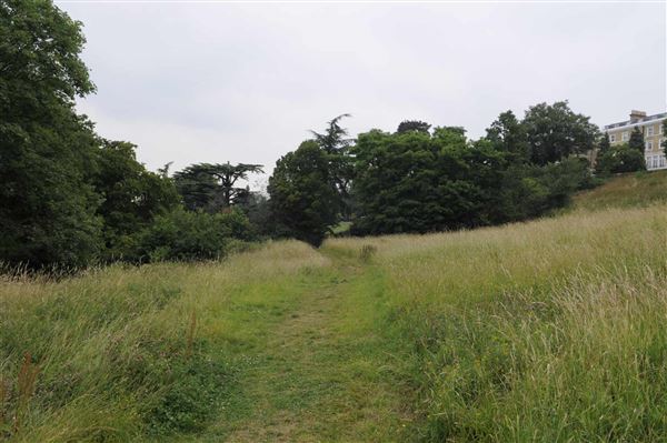 The Terrace Field (01/05/2019)