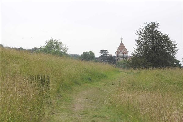 The Terrace Field (01/05/2019)