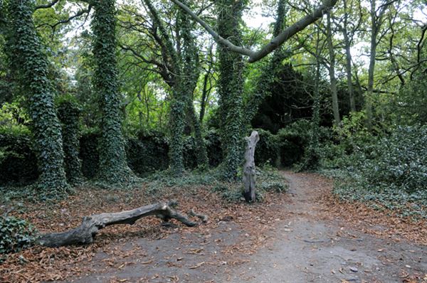 Barnes Common (01/05/2019)