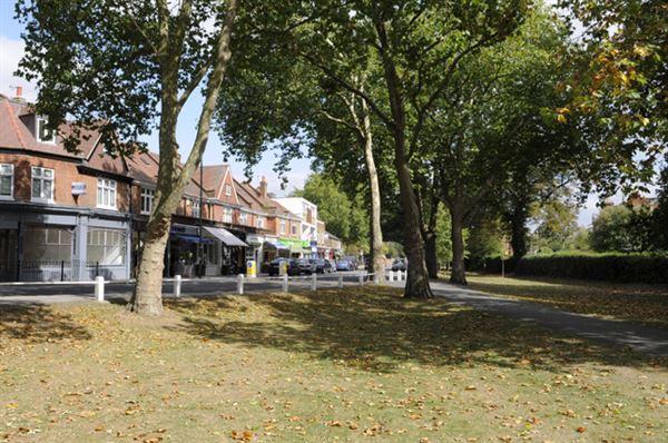 Barnes Green (01/05/2019)