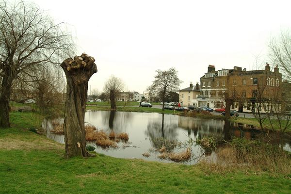 Blackheath area (01/05/2019)