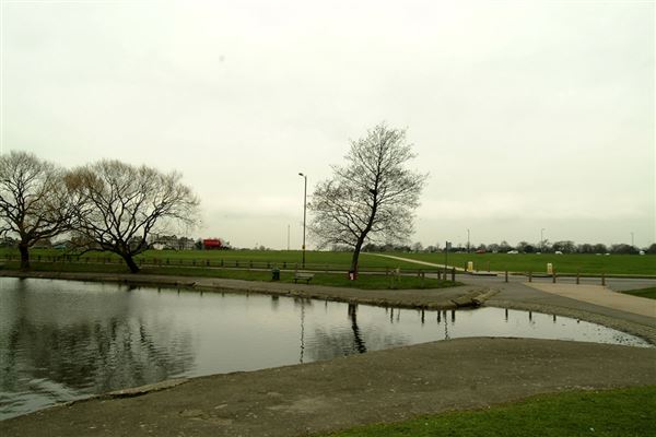 Blackheath area (01/05/2019)