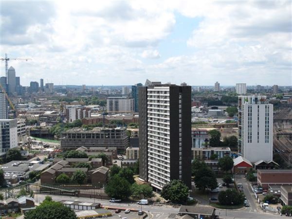 Views of the Queen Elizabeth Olympic Park from Dennison Point (01/05/2019)