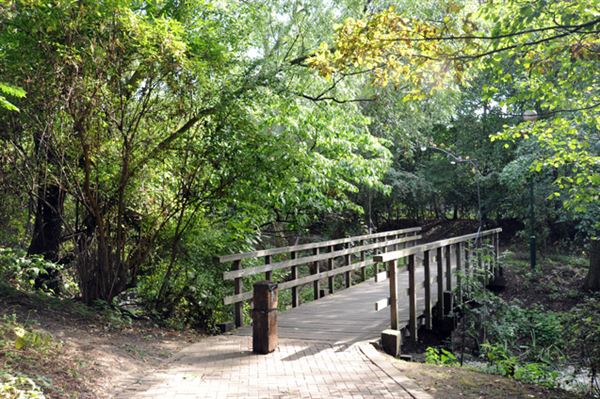 Russia Dock Woodland (01/05/2019)