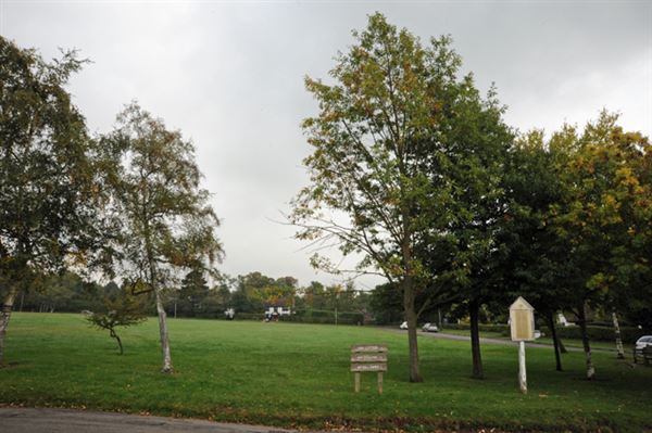 Woodcote Village Green (01/05/2019)
