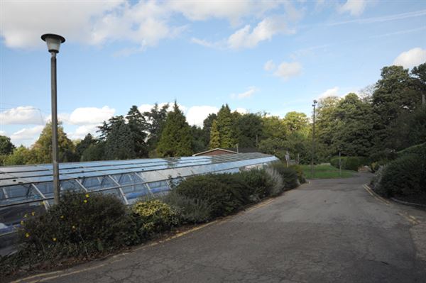 Coombe Wood (01/05/2019)