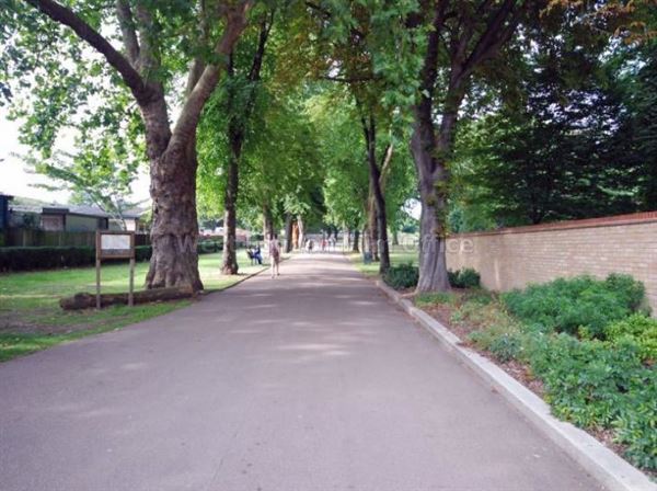 Acton Park (01/05/2019)