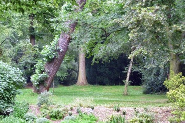 Royal Hospital Chelsea (01/05/2019)
