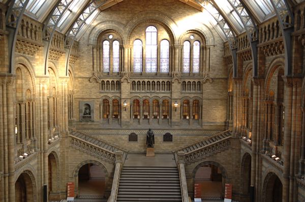 Natural History Museum (01/05/2019)