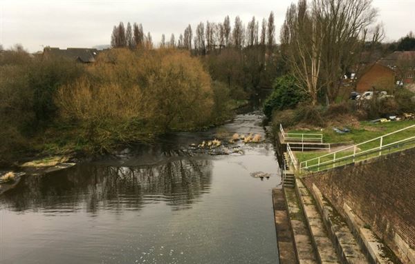 Brent Reservoir (01/05/2019)