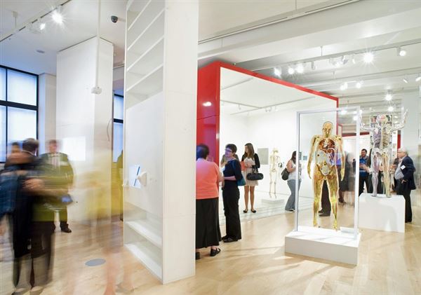 Wellcome Collection (01/05/2019)