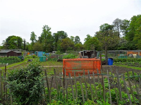 Foots Cray Meadows (01/05/2019)