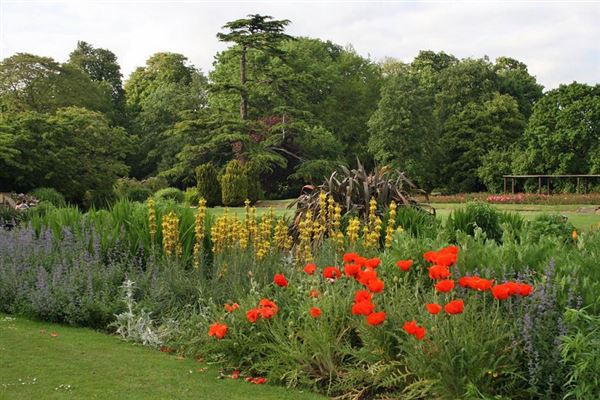 Beddington Park & The Grange (01/05/2019)
