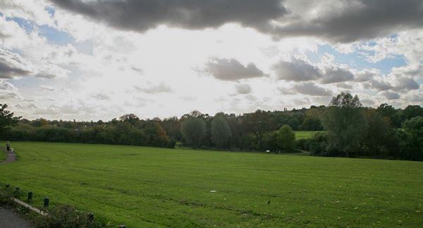 Brook Farm Open Space (17/05/2018)