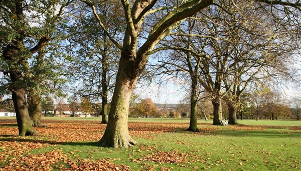 Hendon Park (01/05/2018)