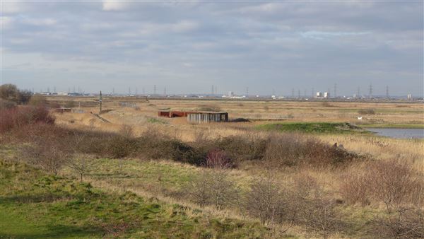 Rainham Marshes - Thames Side (20/04/2018)