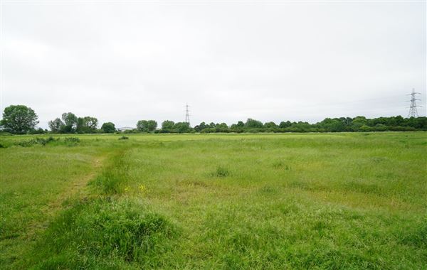 Walthamstow Marshes (30/04/2018)