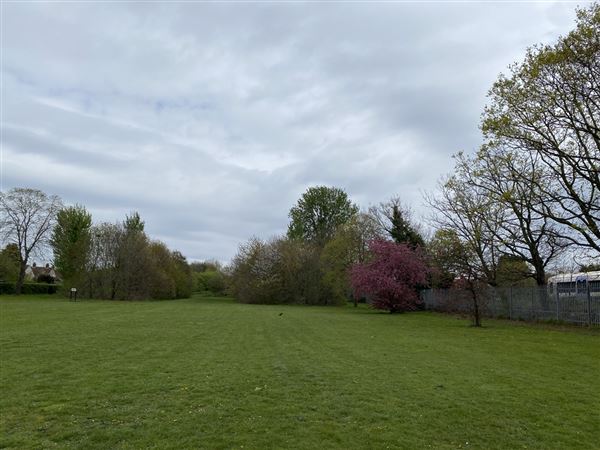 Abbey Hill Park (26/04/2023 - Credits: Phil)