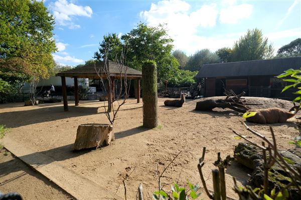 London Zoo (04/10/2024)