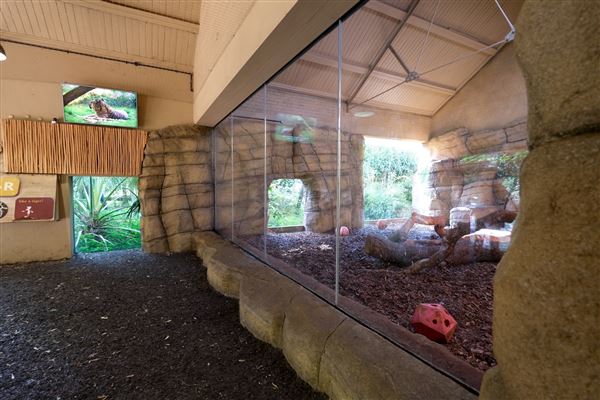 London Zoo (04/10/2024)