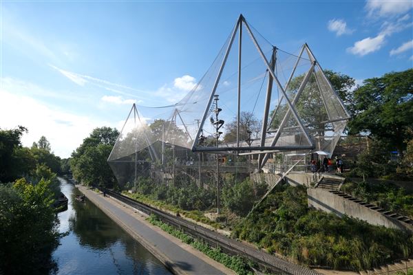 London Zoo (04/10/2024)