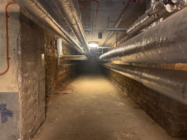 Barking Town Hall - Basement (17/01/2025)