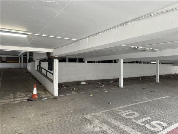 Bexleyheath Multi-Site (13/11/2025 - Credits: submitted by: Liz Charlton)