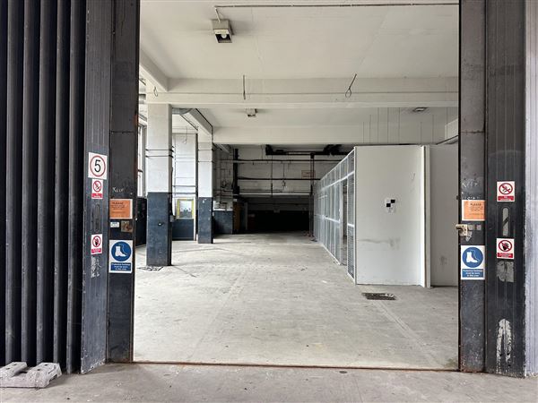 Bexleyheath Multi-Site (13/11/2025 - Credits: submitted by: Liz Charlton)