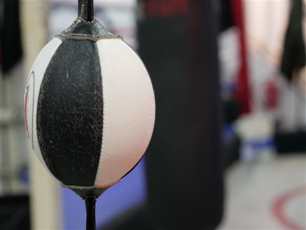 Ringtone Boxing Gym (15/06/2026 - Credits: submitted by: Nerice Brosnan)