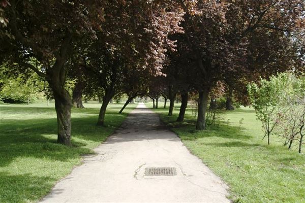 Grovelands Park (01/05/2019)