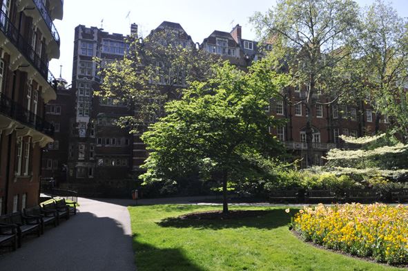 Mount Street Gardens (01/05/2019)
