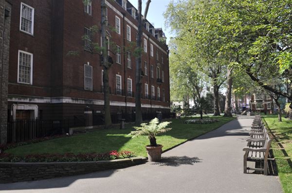 Mount Street Gardens (01/05/2019)
