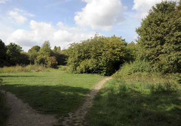 Stave Hill Ecological Park (01/05/2019)