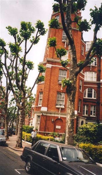 Fitz-George Avenue (01/05/2019)