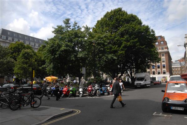 Golden Square (01/05/2019)