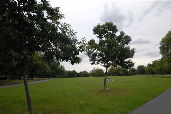 Clissold Park (01/05/2019)