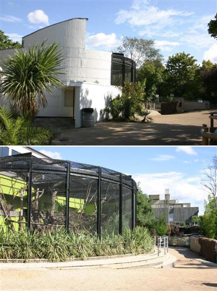 London Zoo (01/05/2019)
