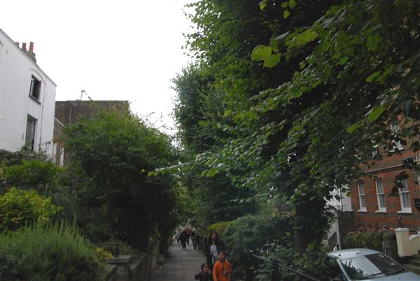 Flask Walk (01/05/2019)