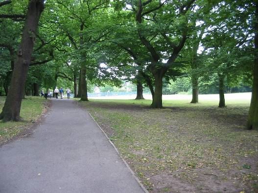 Cherry Tree Wood (01/05/2019)