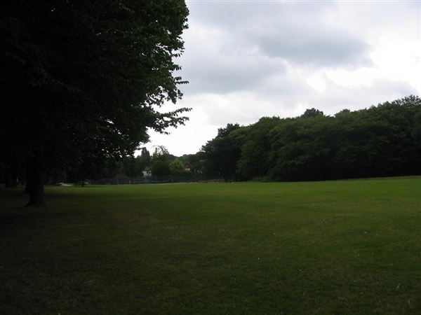 Cherry Tree Wood (01/05/2019)