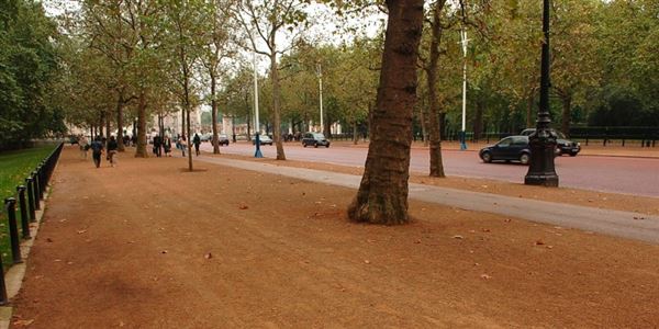 St James's Park (01/05/2019)