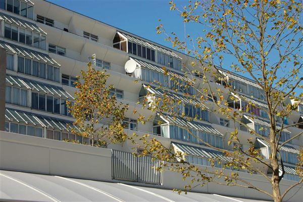 Brunswick Centre (01/05/2019)